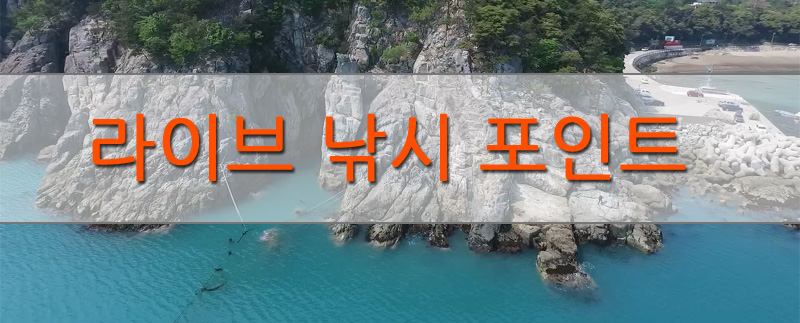 LIVE 낚시 포인트